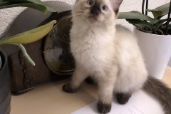IMG_0957