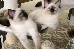 IMG_0997